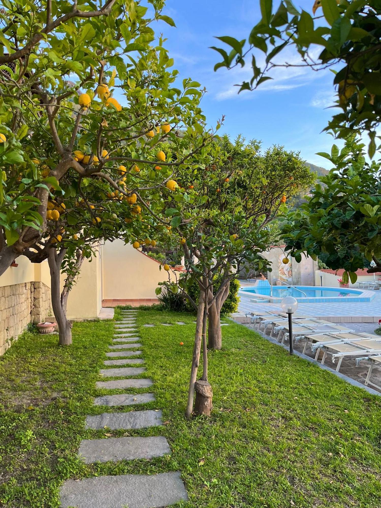 Resort Villa Flavio 카사밋쵸라테르메 외부 사진