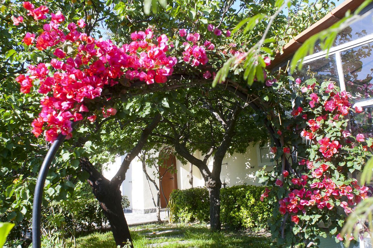 Resort Villa Flavio 카사밋쵸라테르메 외부 사진